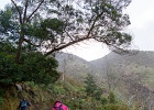 20180523-1017-p5 - 23/05/2018-Java(Indonésie)-Le volcan Kawah Ijen-->Jocelyne