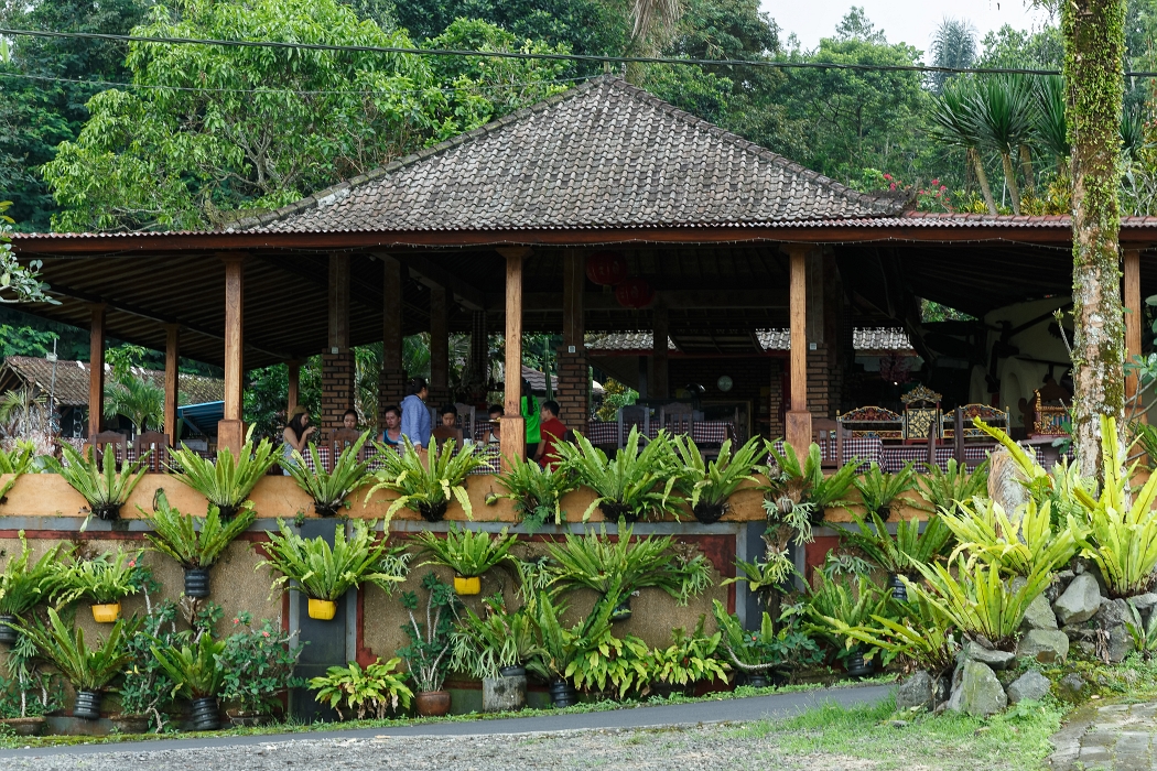 25/05/2018-Jatiluwih(Bali)-Les rizières