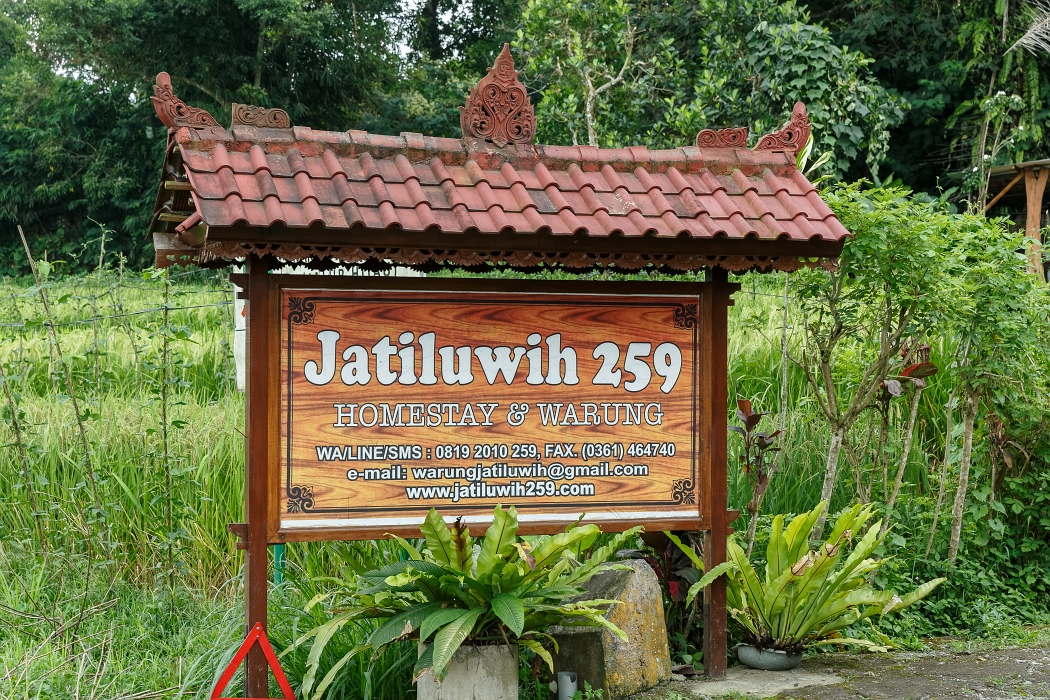 25/05/2018-Jatiluwih(Bali)-Les rizières