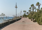 20180817-1028-p5 - 17/08/2018-Lanzarotte(Canaries)-Promenade autour de l'hôtel