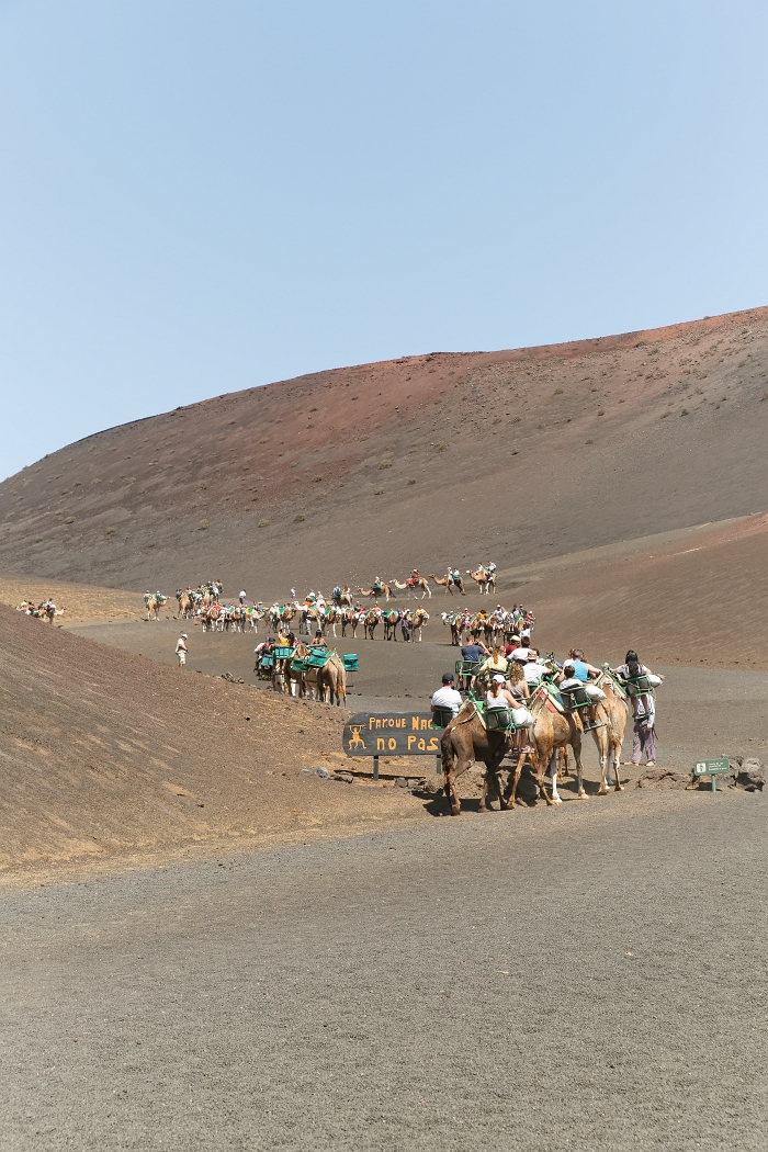 22/08/2018-Lanzarotte(Canaries)-Circuit des volcans