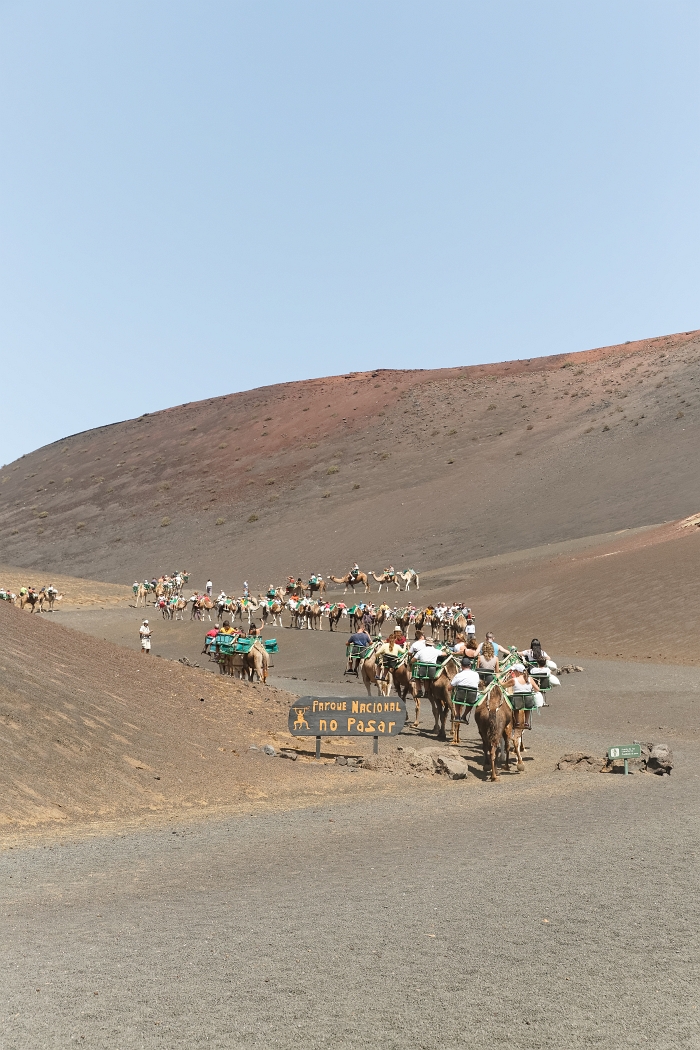 22/08/2018-Lanzarotte(Canaries)-Circuit des volcans