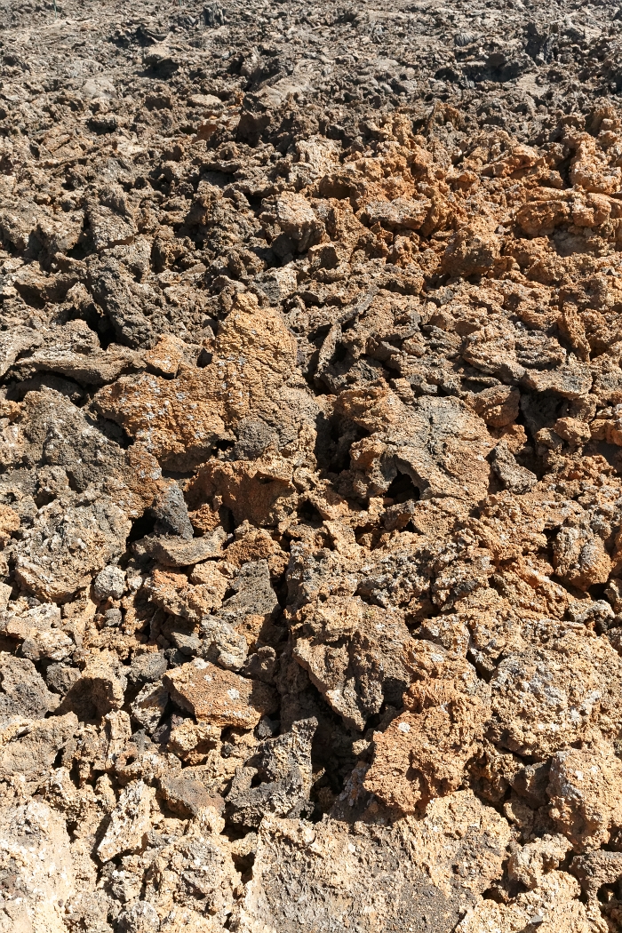 22/08/2018-Lanzarotte(Canaries)-Circuit des volcans