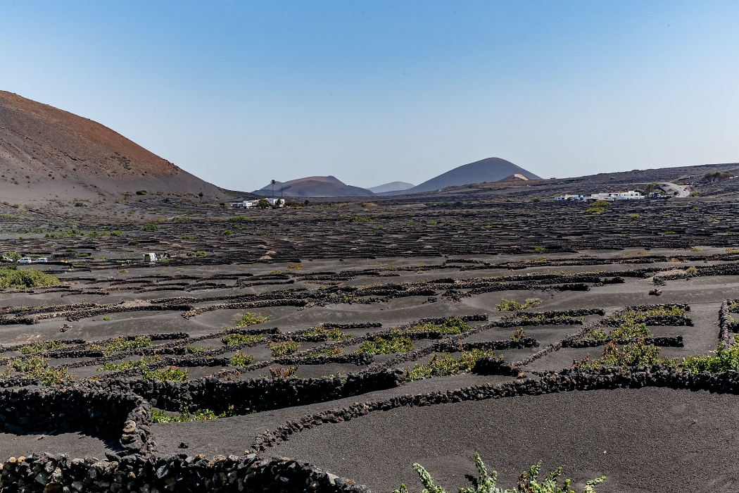 22/08/2018-Lanzarotte(Canaries)-Les vignobles