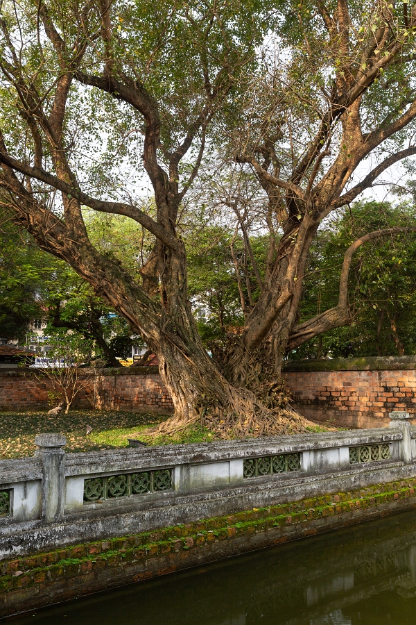 19/04/2019-Hanoï(Vietnam)-Temple de la littérature