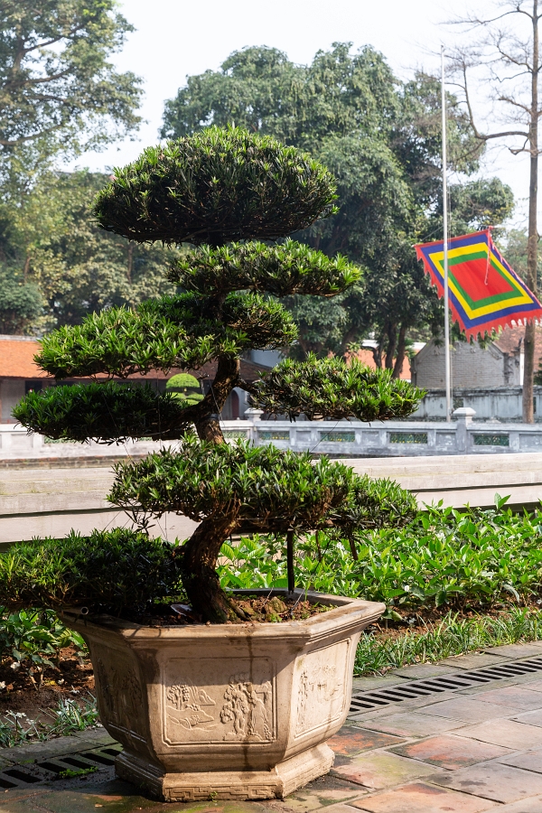 19/04/2019-Hanoï(Vietnam)-Temple de la littérature