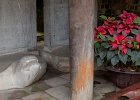 20190419-2015-p5 - 19/04/2019-Hanoï(Vietnam)-Temple de la littérature