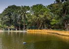 20190419-4007-p5.jpg