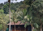 20190419-4016-p5.jpg
