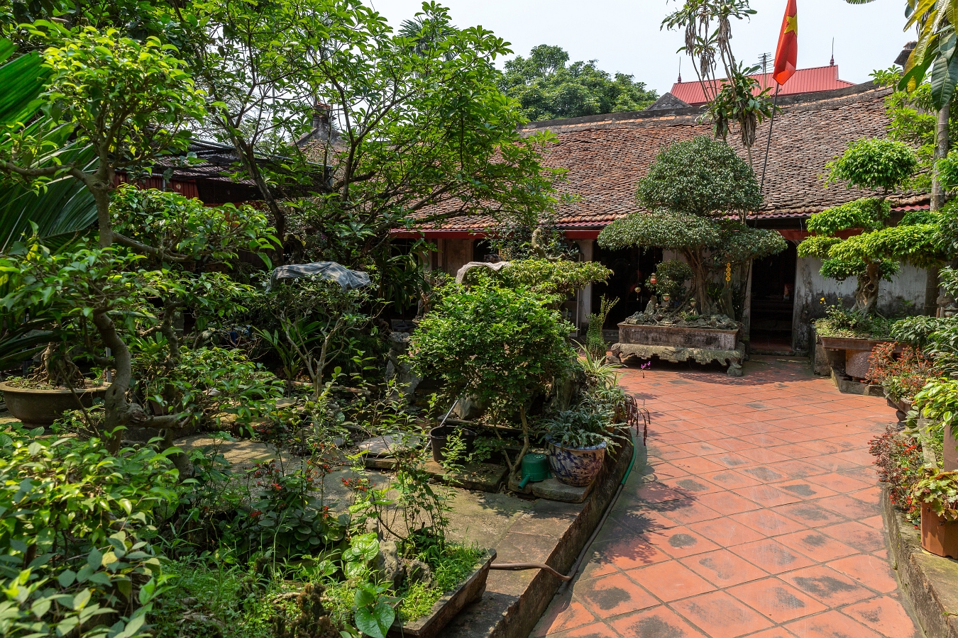 19/04/2019- Près de Hanoî(Vietnam)-Déjeuner chez l'habitant