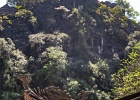 20190422-2036-p5 - 22/04/2019-Ninh(Vietnam-Page de Jade