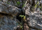 20190422-2039-p5 - 22/04/2019-Ninh(Vietnam-Page de Jade