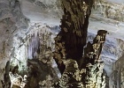 20190423-1067-p5 - 23/04/2019-Vinh(Vietnam)-Grottes de Phong Nha