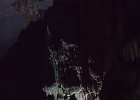 20190423-1103-p5 - 23/04/2019-Vinh(Vietnam)-Grottes de Phong Nha