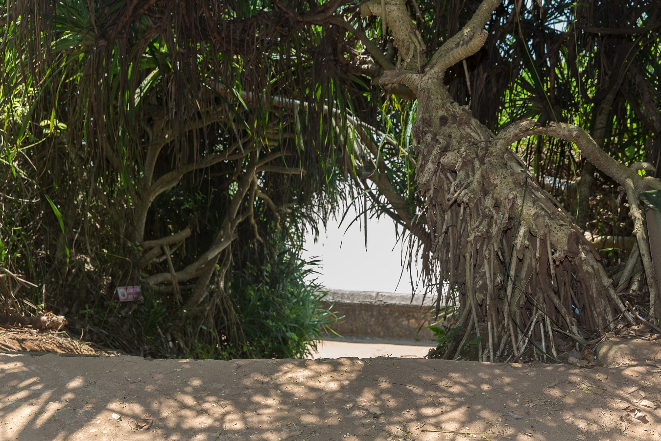 24/04/2019-Vinh Moc (Vietnam)-Tunnels de Vinh Moc