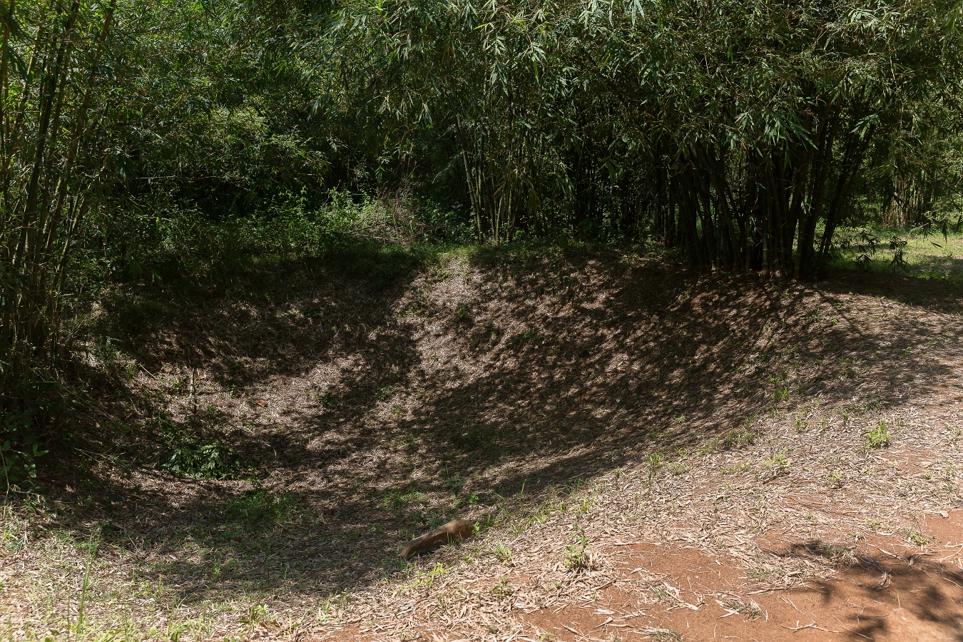 24/04/2019-Vinh Moc (Vietnam)-Tunnels de Vinh Moc