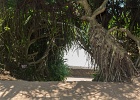 20190424-1039-p5 - 24/04/2019-Vinh Moc (Vietnam)-Tunnels de Vinh Moc