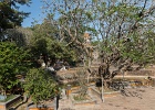 20190424-3051-p5 - 24/04/2019-Hué (Vietnam)-Parc de l'empereur Tu Duc