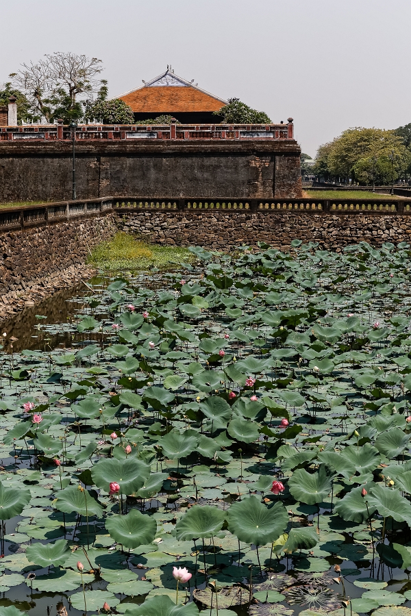 25/04/2019-Hué(Vietnam)-Palais impérial