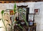 20190425-3012-p5 - 25/04/2019-Hué(Vietnam)-Un petit village