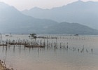 20190426-1003-p5 - 26/04/2019-Danang(Vietnam)-Sur la route