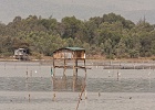 20190426-1004-p4 - 26/04/2019-Danang(Vietnam)-Sur la route