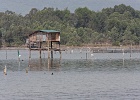 20190426-1006-p4 - 26/04/2019-Danang(Vietnam)-Sur la route