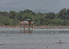 20190426-1008-p4 - 26/04/2019-Danang(Vietnam)-Sur la route
