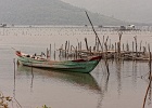 20190426-1012-p4 - 26/04/2019-Danang(Vietnam)-Sur la route