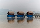 20190426-1025-p5 - 26/04/2019-Danang(Vietnam)-Sur la route