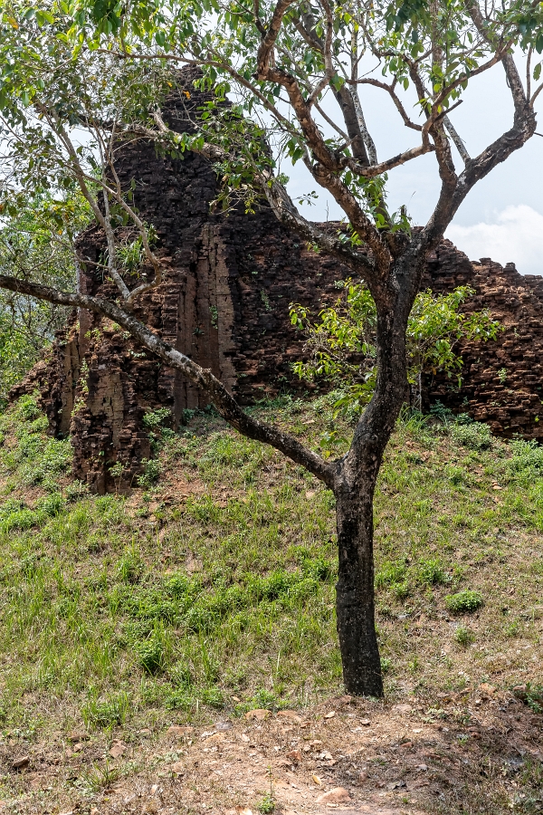 27/04/2019-Hoi An(Vietnam)-Mi Son