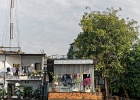 20190429-1004-p5 - 29/04/2019-Can Tho(Vietnam)-Du quoi Nink Kieu vers le marché flottant
