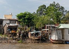 20190429-1025-p5 - 29/04/2019-Can Tho(Vietnam)-Du quoi Nink Kieu vers le marché flottant