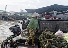 20190429-2010-p5 - 29/04/2019-Can Tho(Vietnam)-Marché flottant