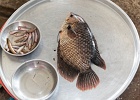 20190429-3001-p5 - 29/04/2019-Can Tho(Vietnam)-Le marché