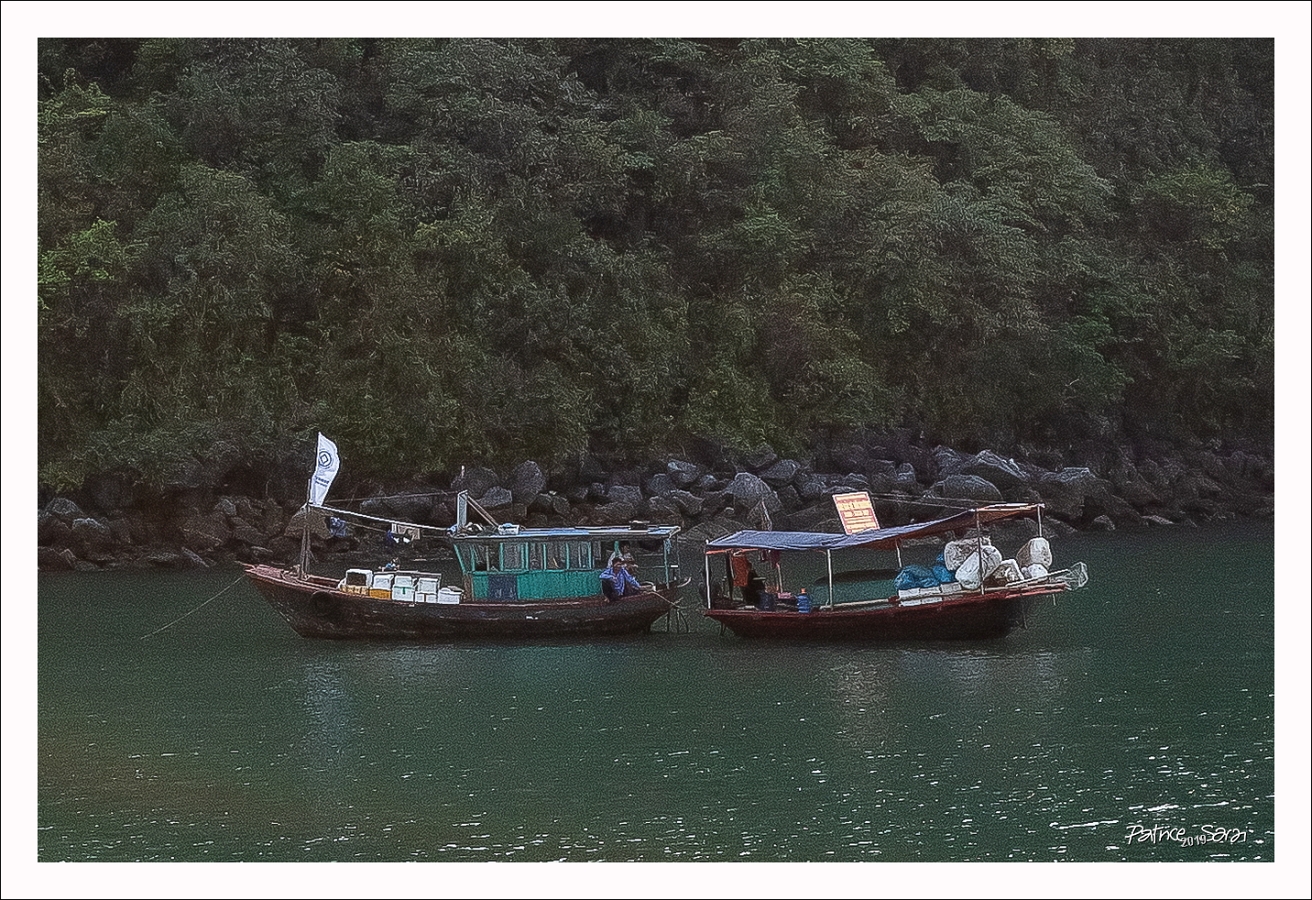 20190420-1074-p5-s br-lc