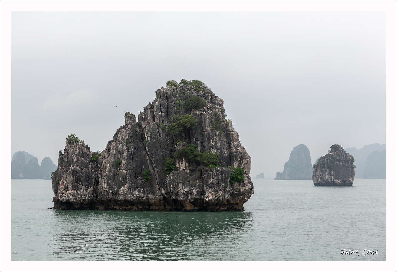20190421-1001-p5-s br-lc