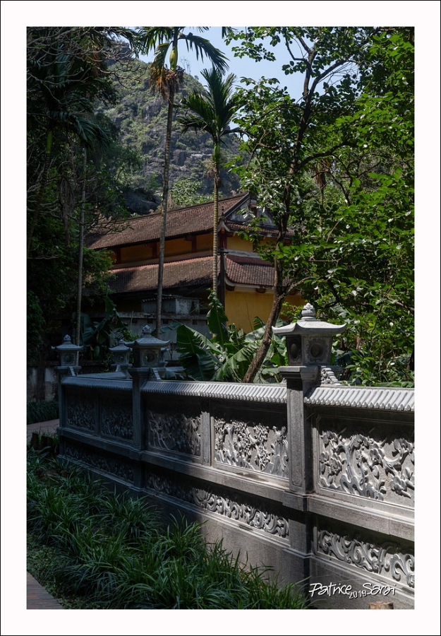 20190422-2011-p5-s br-lc