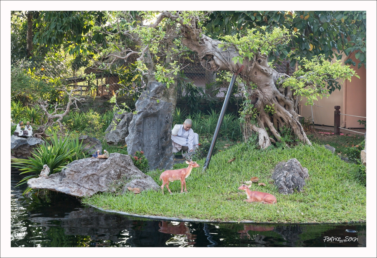 20190424-5023-p5-s br-lc