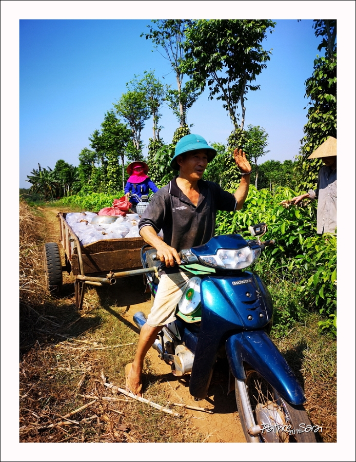 20190424-8004-pt-s br-lc