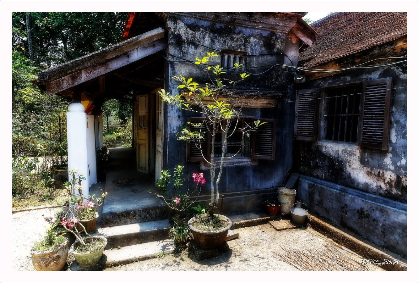 20190425-3017-p5-s-i b-lc