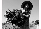 20190424-8006-pt-s-i_b-lc - 24/04/2019-Hué(Vietnam)-Sur la route-->Cacahuètes