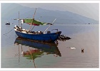 20190426-1016-p5-s-i_b-lc - 26/04/2019-Danang(Vietnam)-Sur la route