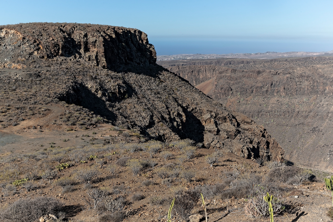 13/08/2019-Grande canaria-Région de Fataga