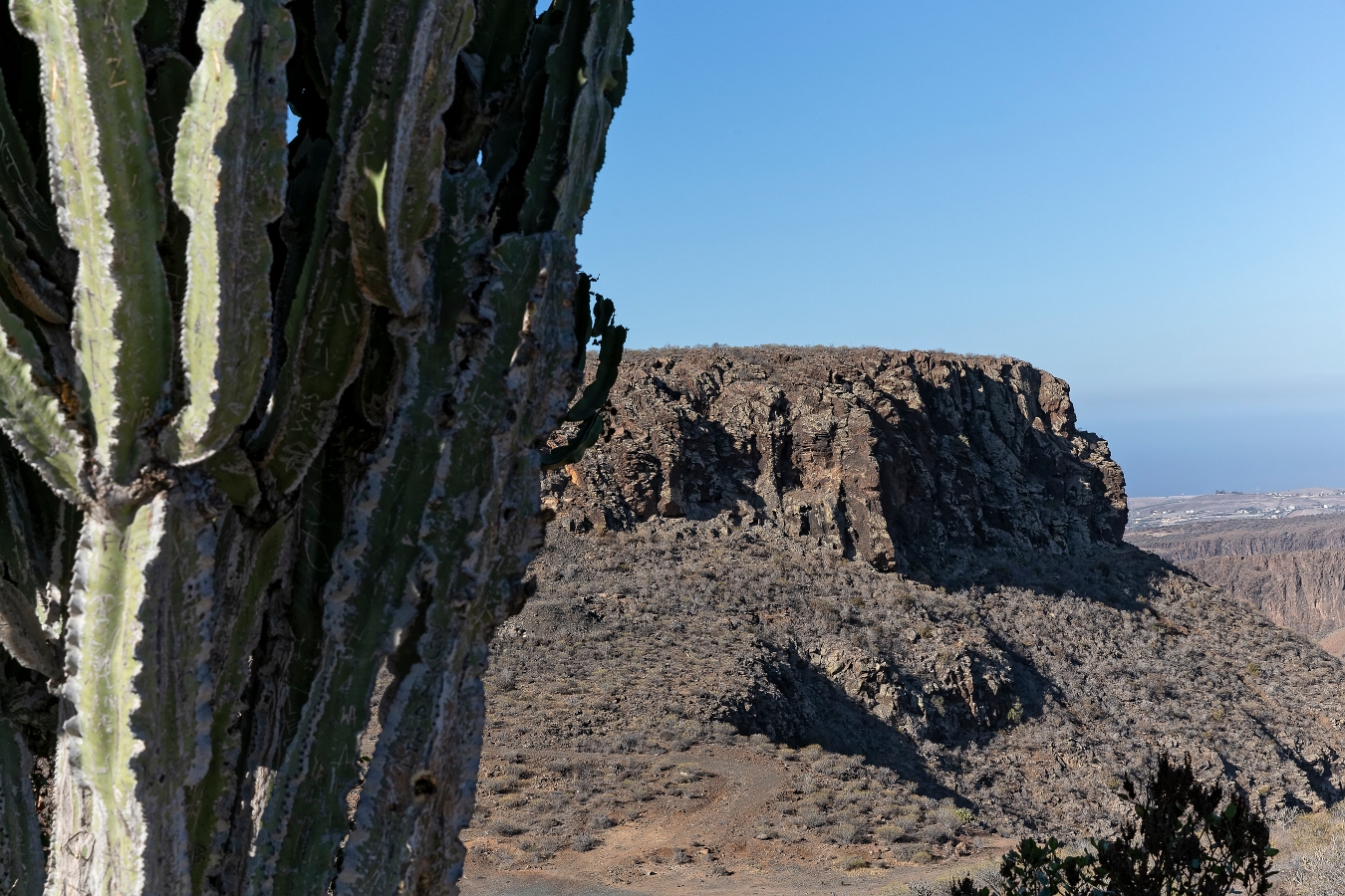 13/08/2019-Grande canaria-Région de Fataga