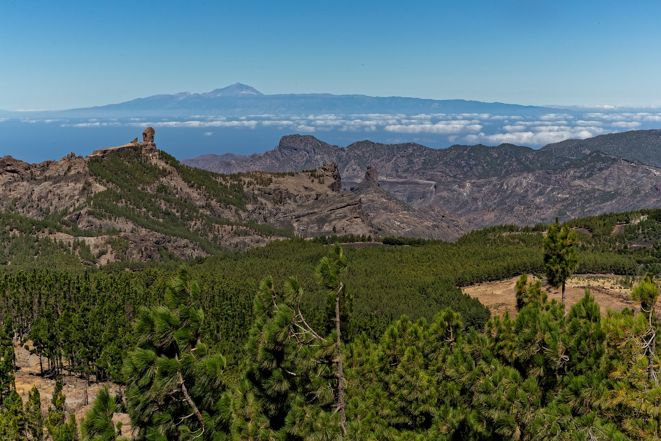 13/08/2019-Grande canaria-Pico de las Nieves
