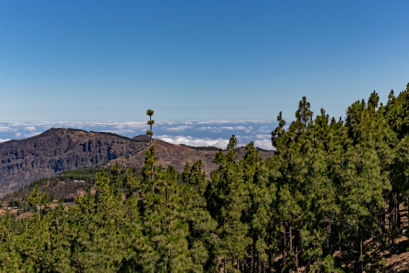 13/08/2019-Grande canaria-Pico de las Nieves