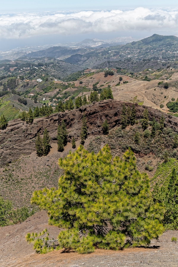 13/08/2019-Grande canaria-Caldera de los pinos de Galdar