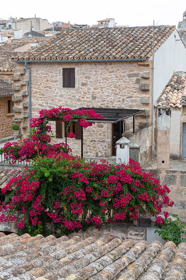 03/08/2020-Majorque(Espagne)-Alcudia