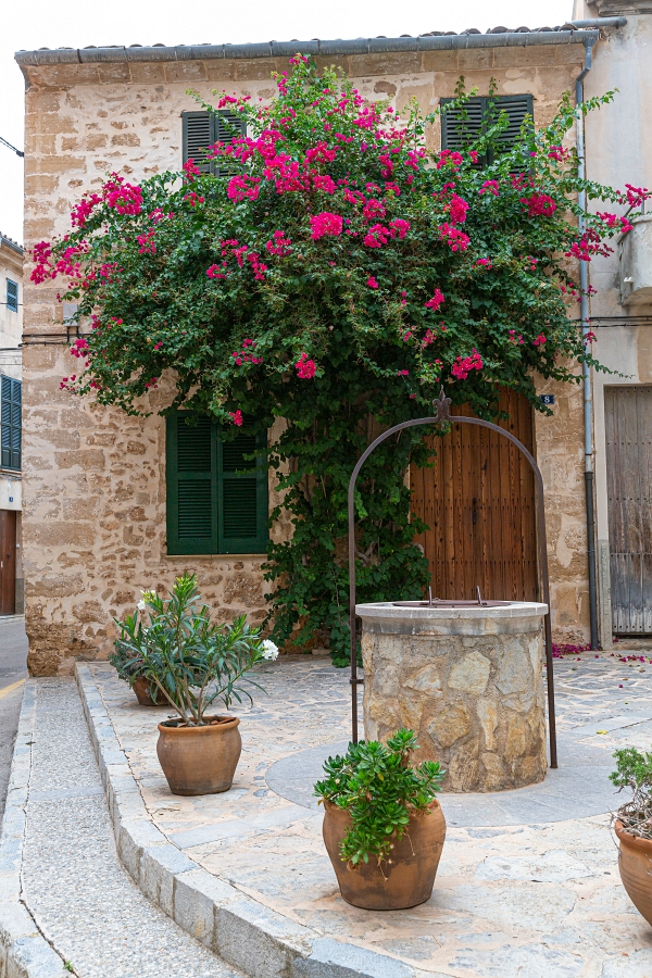 03/08/2020-Majorque(Espagne)-Alcudia